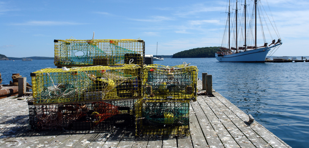 bar harbor maine lobster traps